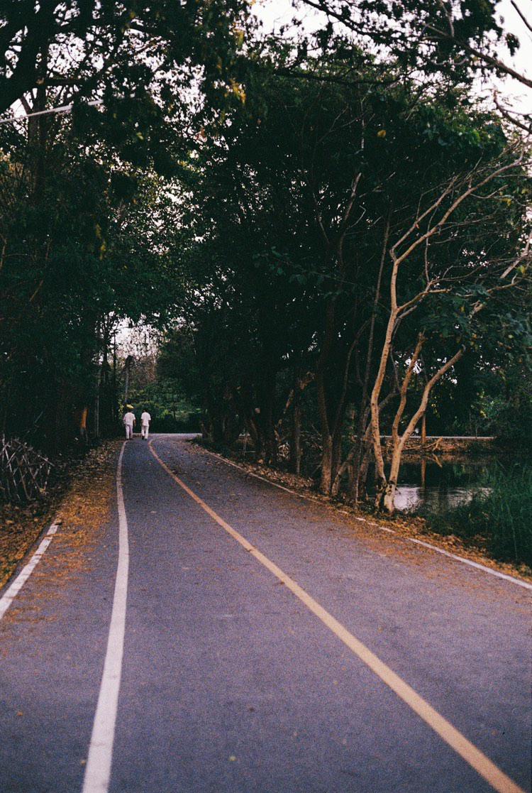 Tree-lined road in Thailand